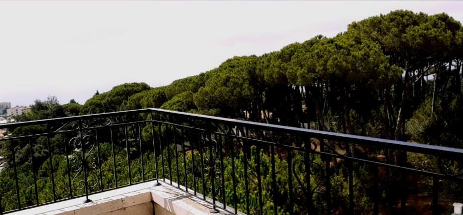Dynasty Suite Aley Exterior foto